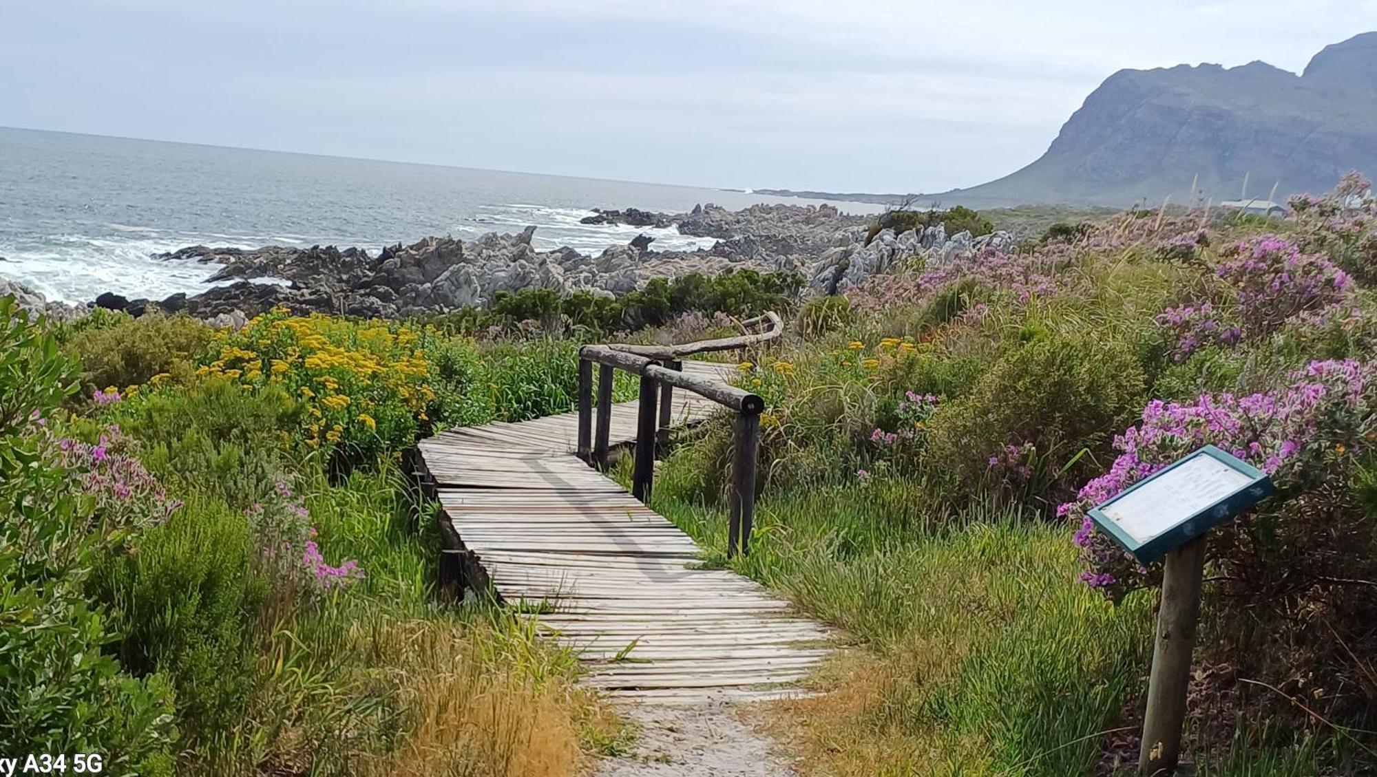 Apartamento Kleinmond Panorama Holidays Exterior foto